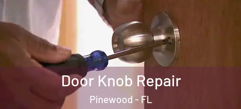  Door Knob Repair Pinewood - FL