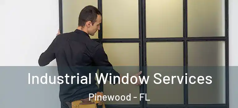  Industrial Window Services Pinewood - FL