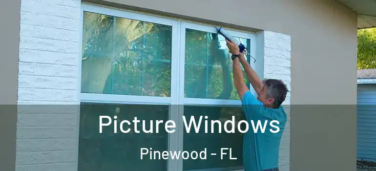  Picture Windows Pinewood - FL