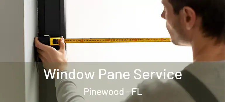  Window Pane Service Pinewood - FL